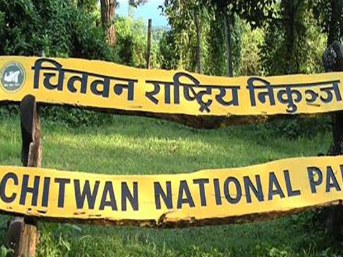 पाँच महिनामा ५१ हजारले घुमे निकुञ्ज